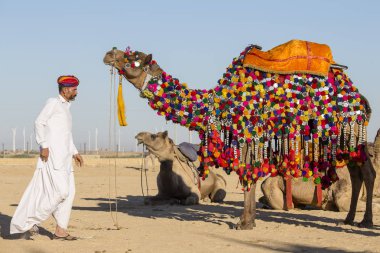 Geleneksel Rajasthani elbise giyen deve ve Hint erkek Jaisalmer, Rajasthan, Hindistan çöl Festivali olarak Bay Desert yarışmaya katılmak
