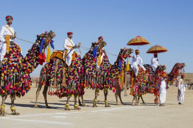 Geleneksel Rajasthani elbise giyen deve ve Hint erkek Jaisalmer, Rajasthan, Hindistan çöl Festivali olarak Bay Desert yarışmaya katılmak