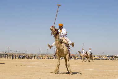 Çöl Festivali Jaisalmer, Rajasthan, Hindistan Hint erkek deve polo oynamak.