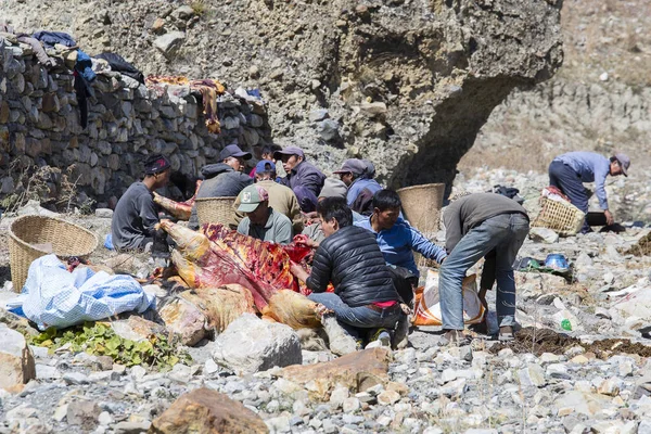 Tibetan butcher men butchering yak carcasses for sale in the local market. Annapurna region. Himalayas, Nepal — Stock Photo, Image
