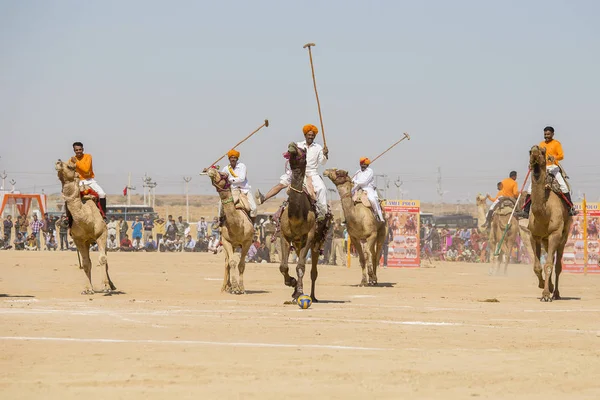 Gli uomini indiani giocano a polo cammello al Desert Festival a Jaisalmer, Rajasthan, India . — Foto Stock