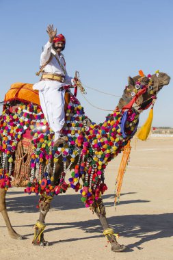 Geleneksel Rajasthani elbise giyen deve ve Hint erkek Jaisalmer, Rajasthan, Hindistan çöl Festivali olarak Bay Desert yarışmaya katılmak