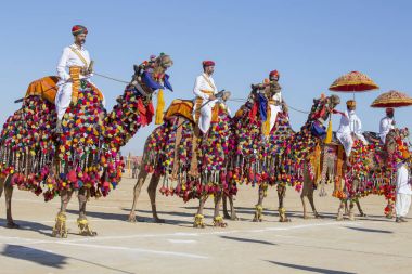 Geleneksel Rajasthani elbise giyen deve ve Hint erkek Jaisalmer, Rajasthan, Hindistan çöl Festivali olarak Bay Desert yarışmaya katılmak