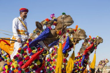 Geleneksel Rajasthani elbise giyen deve ve Hint erkek Jaisalmer, Rajasthan, Hindistan çöl Festivali olarak Bay Desert yarışmaya katılmak