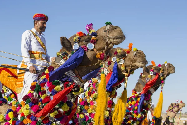 Cammelli e indiani che indossano abiti tradizionali del Rajasthan partecipano al concorso Mr. Desert come parte del Desert Festival a Jaisalmer, Rajasthan, India — Foto Stock