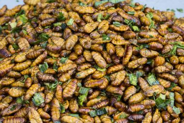 Yenilebilir kavrulmuş ve baharatlı yemek solucan, böcek sokak gıda Tayland kızarmış. Fried larva besindir Tay piyasada yakın.