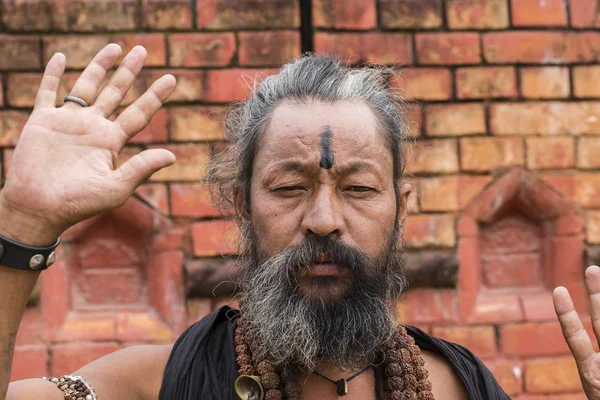 シャイヴァ サードゥ、パシュパティナート寺院、カトマンズでの神聖な男の肖像画。ネパール — ストック写真