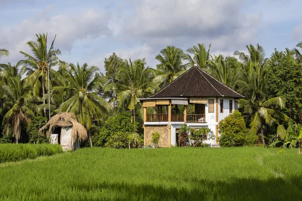 Tropical house with a tiled roof among rice fields. Island Bali, Ubud, Indonesia — Stock Photo, Image