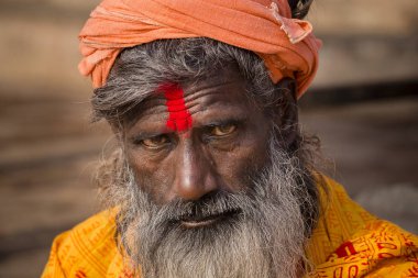 Shaiva sadhu, Varanasi, Hindistan'da kutsal adam portresi