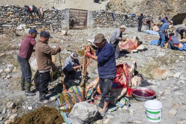 Tibet kasap erkekler yak leşleri yerel piyasada Satılık kesim. Annapurna bölge. Himalayalar, Nepal