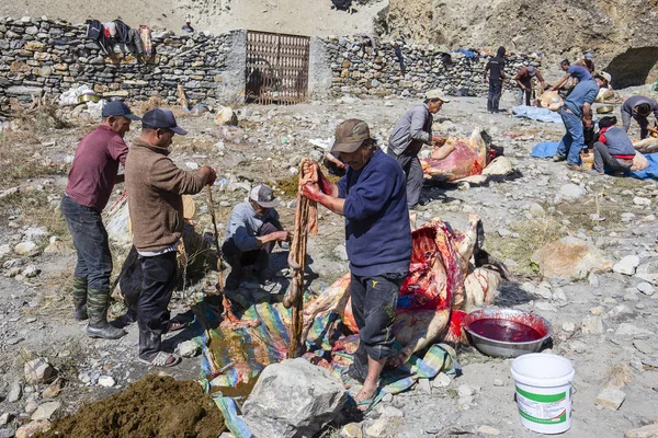 Tibetische Metzger schlachten Yakkadaver, die auf dem lokalen Markt verkauft werden. Region Anapurna. Himalaya, Nepal — Stockfoto