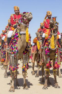 Geleneksel Rajasthani elbise giyen deve ve Hint erkek Jaisalmer, Rajasthan, Hindistan çöl Festivali olarak Bay Desert yarışmaya katılmak