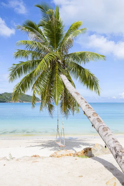 Hermosa playa tropical, palmera y agua de mar en la isla Koh Phangan, Tailandia —  Fotos de Stock