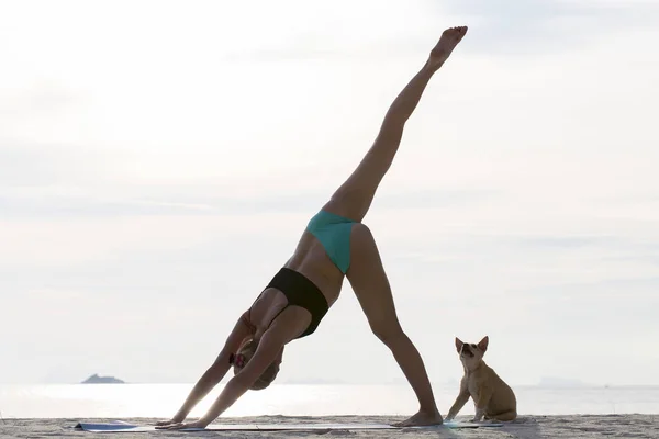 Giovane donna pratica yoga e cane su una spiaggia al tramonto — Foto Stock