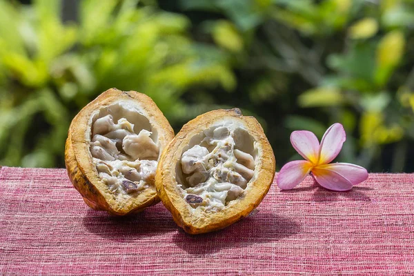 Kakao çekirdeği, kakao meyve, yakın çekim. Ada Bali, Endonezya — Stok fotoğraf