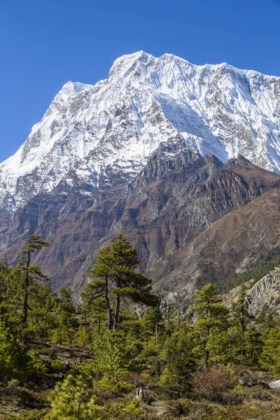在尼泊尔的喜马拉雅山脉雄伟山峰 — 图库照片