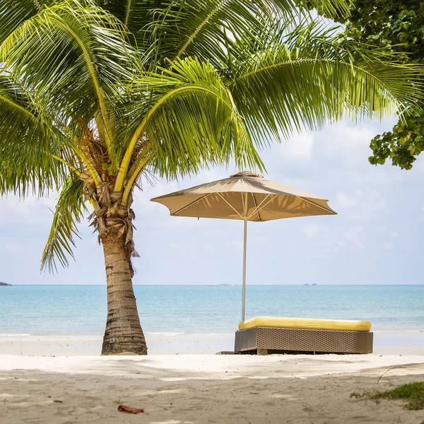 Beautiful tropical beach, palm tree, sea water, umbrella and sunbed on a sunny day. Thailand — Stock Photo, Image