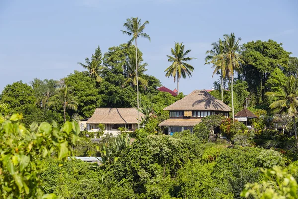 Vista matutina de cocoteros verdes y casas en Ubud, isla Bali, Indonesia —  Fotos de Stock