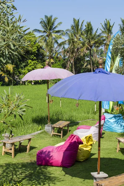 Zona de recreo y terrazas de arroz verde en Ubud, isla Bali, Indonesia —  Fotos de Stock