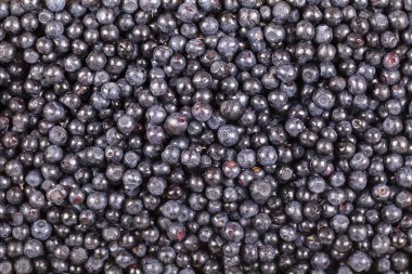 Taze, olgun yaban mersini arka plan, vahşi berry