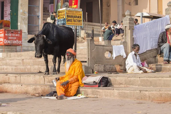 Czarna krowa i Shaiva sadhu, święty człowiek siedzieć na Ghaty nad rzeką Ganges w Varanasi w Indiach — Zdjęcie stockowe