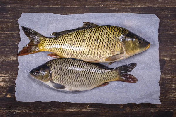 Due pesci carpa su sfondo di legno, da vicino — Foto Stock