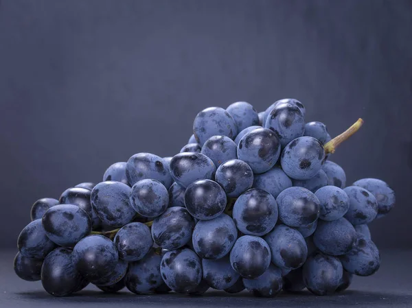 Enda filial blå druvor på svart skiffer sten bakgrund — Stockfoto