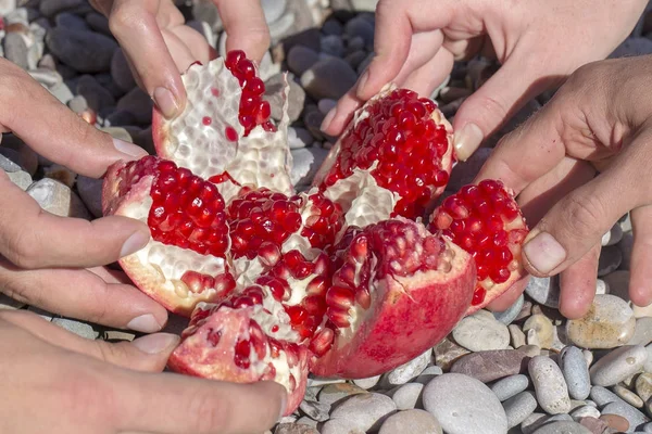 Abra granada roja y muchas manos se sienten atraídas hacia ella. Granate rojo fresco para comer en la playa de Turquía, de cerca — Foto de Stock