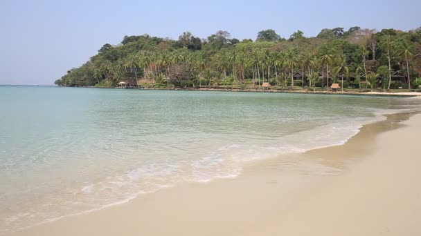 Tropische zand strand en water Golf met exotische palmbomen. Thailand. — Stockvideo