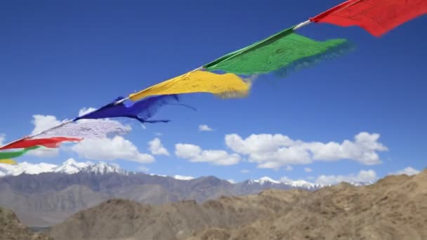 Beaucoup de drapeaux de prière bouddhistes colorés au temple de Leh, Ladakh, Inde — Video