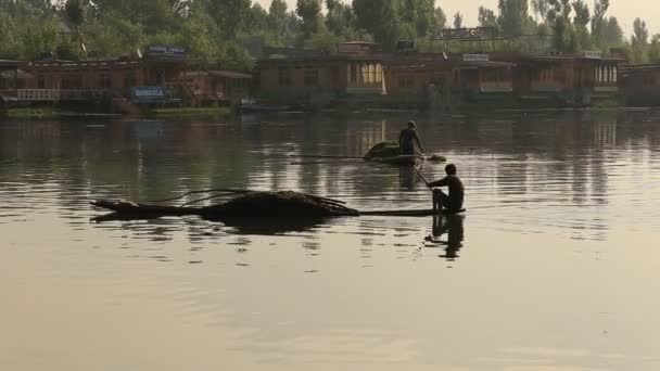 Estilo de vida en el lago Dal, la gente local utiliza Shikara, un pequeño barco para el transporte en el lago de Srinagar, Jammu y el estado de Cachemira, India — Vídeos de Stock