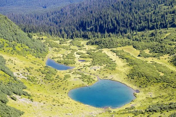 Los abetos verdes y el lago azul sobre el fondo de las montañas de los Cárpatos en verano, Ucrania —  Fotos de Stock