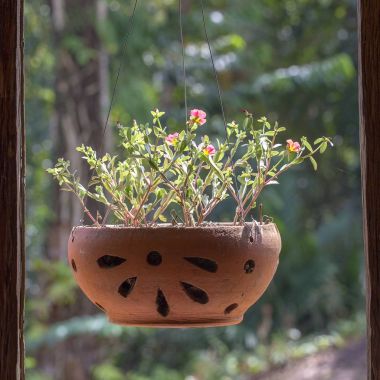 Pencere çerçevesi tropikal Bahçe yakınındaki asılı çiçekli vazo adası Koh Chang, Tayland