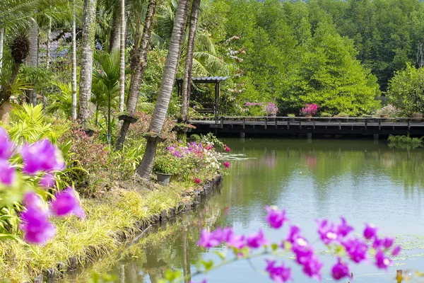 Lugar exótico junto a un estanque. Koh Chang, Tailandia — Foto de Stock