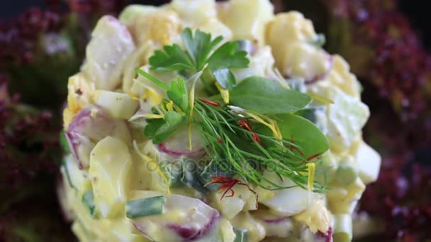Bir Turp Yeşil Soğan Salatalık Marul Yaprakları Üzerinde Mayonez Haşlanmış — Stok video
