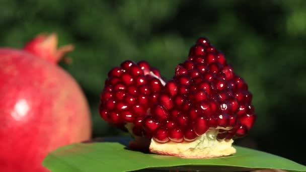 Segmento Fruta Granada Madura Gira Orgánica Fresco Granate Rojo Cerca — Vídeos de Stock
