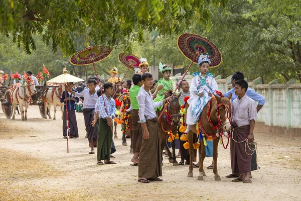 Διακόσμηση άλογο, βουβάλια και άνθρωποι, συμμετείχαν στην τελετή δωρεά διοχετεύεται. Bagan, Μιανμάρ, Βιρμανία — Φωτογραφία Αρχείου