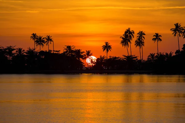 Sunset over coconut palm tree on the beach in island Koh Chang, Thailand — Stock Photo, Image