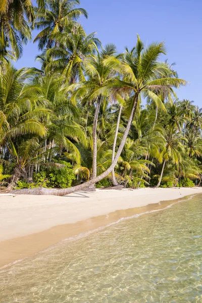 Hermosa playa tropical, palmera de coco y agua de mar limpia en Tailandia —  Fotos de Stock