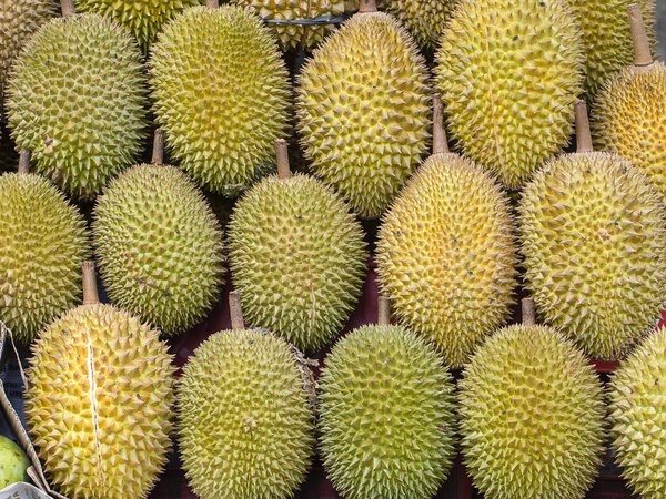 Спелые плоды дуриана на местном рынке на острове Бали, Убуд, Индонезия
