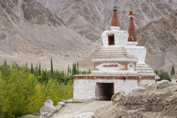 Coros budistas, estupa branca e montanhas do Himalaia no fundo perto de Leh em Ladakh, Índia — Fotografia de Stock