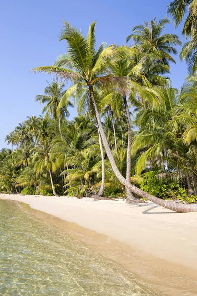 Tropisch strand, coconut palm tree en schoon zeewater in Thailand — Stockfoto