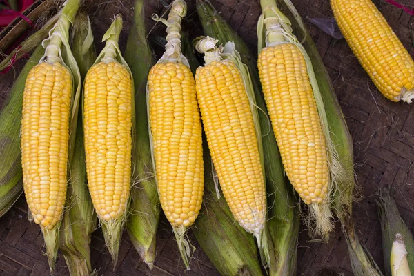 Bio, frischer, süßer Mais zum Verkauf auf einem lokalen Bauernmarkt in Thailand — Stockfoto