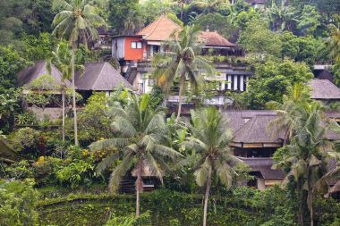 Çatı yağmur ormanlarında Ubud Köyü, Bali Adası, Endonezya yakın