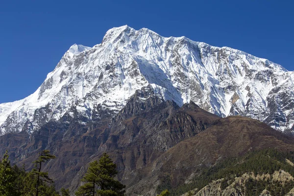 Beau paysage en Himalaya, région de l'Annapurna, Népal . — Photo