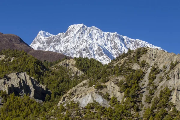 Beautiful landscape in Himalayas, Annapurna region, Nepal. — Stock Photo, Image