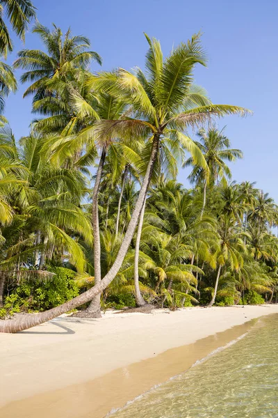 Bella spiaggia tropicale, palma da cocco e acqua di mare pulita in Thailandia — Foto Stock