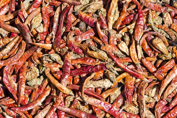 Sušené červené chilli papričky pozadí v Káthmándú, Nepál — Stock fotografie
