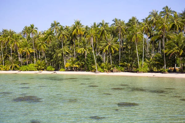Hermosa playa tropical, palmera de coco y agua de mar limpia en Tailandia —  Fotos de Stock