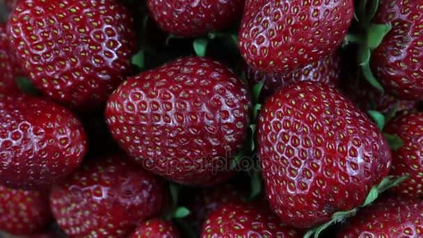 Fresas Frescas Maduras Jugosas Giran Fresas Rojas Sentido Las Agujas — Vídeos de Stock